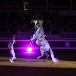 spectacle equestre