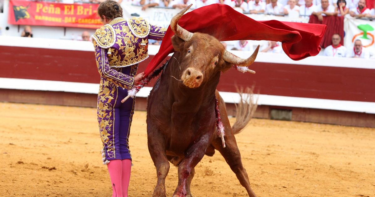 tauromachie