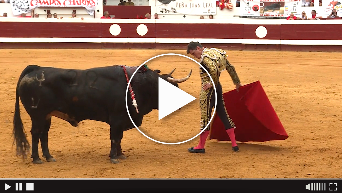 video-luque-2019
