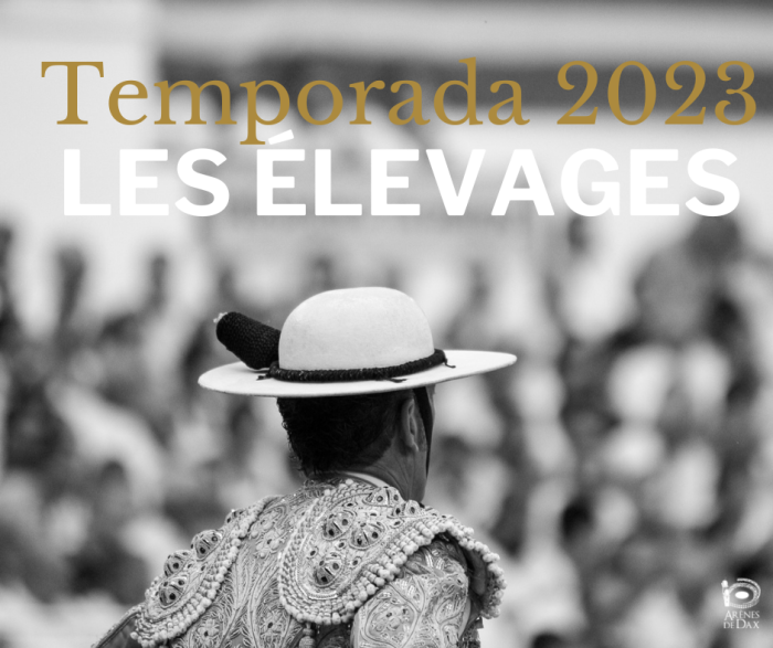 temporada 2023